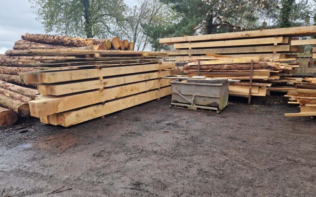 How to Identify High-Quality Oak Beams?